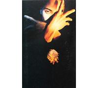 Terence Trent D'arby - N.F.N.F.