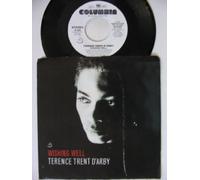 Terence Trent D'Arby - Wishing Well
