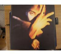 Terence Trent D'Arby's Neither fish nor flesh a soundtrack of love,faith.