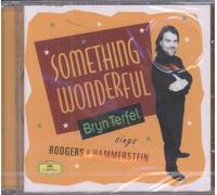 Bryn Terfel SOMETHING WONDERFUL (CD) Album