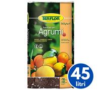 Terflor TERRICCIO TORBA PER AGRUMI LIMONI ARANCE PIANTE SUBSTRATO 45 Litri