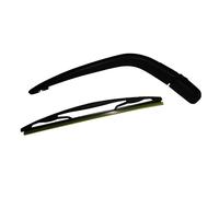 AIC Braccio tergi, Pulizia cristalli