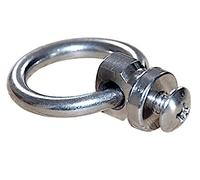 Terginum Anello a O in acciaio inox con filettatura a vite inclusa vite, anello per il collo, senza dimensione di taglio visibile, saldato, levigato, lucidato, diametro: 20 mm