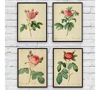 Terilizi Stampe su Tela Botaniche Antiche Poster Stampe Fiori Vintage Rose Pittura Murale Immagini per Soggiorno Home Office Decor-20X30Cmx4 Senza Cornice