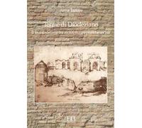 Terme di Diocleziano. Il recinto esterno tra architettura e pratiche sociali