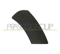 Terminale Destro Paraurti Anteriore Dacia Duster 2010/2013 Lato Dx 960169632r