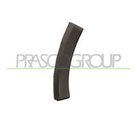 Terminale Destro Paraurti Anteriore Per Dacia Sandero Stepway 2009-2012 Destro