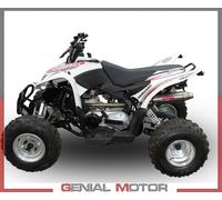 Terminale di Scarico GPR DEEPTONE ATV Omologato ACCESS Baja 450 2005 > 2021