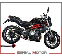 Terminale di Scarico GPR DEEPTONE INOX Omologato BENELLI BN 302 2015 > 2016
