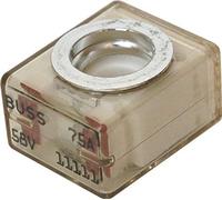 Terminale fusibile blu mare 5180 75 A