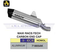 Terminale Maxi Race-Tech alluminio fondello carby BMW R 1250 GS/Adventure 2023