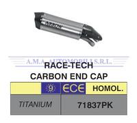 Terminale Race-Tech titanio fond. carby BMW S 1000 XR 2015 2016 2017 2018 2019