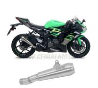 Terminale Scarico Arrow Omo Pro-Race Tita F Tita KAWASAKI ZX-6R 636 2019 > 2020