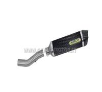 Terminale Scarico + Rac Kat Arrow R. Tech Carbon Ducati Monster 1200 2014 > 2015