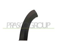 Terminale Sinistro Paraurti Anteriore Citroen Jumper 2006/2014 Lato Sx 7452nc