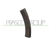 Terminale Sinistro Paraurti Anteriore Per Dacia Sandero Stepway 2009-2012 Sx