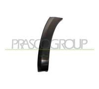 Terminale Sinistro Paraurti Anteriore Per Toyota Rav 4 2006-2009 Lato Sinistro