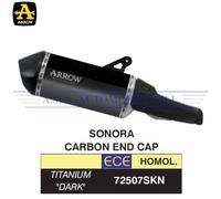 Terminale Sonora titanio Dark fond. carby Harley-Davidson Pan America 1250 2022