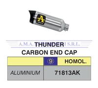 Terminale Thunder alluminio con fondello carby KTM RC 125 Anni 2015 2016
