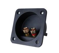 Terminali professionali per altoparlanti con due morsetti e compatibilità universale per componenti audio terminali universali per casa/auto