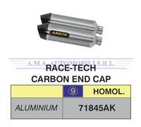 Terminali Race-Tech alluminio (Dx+Sx) con fondello carby Yamaha FJR 1300 2016