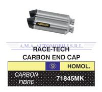 Terminali Race-Tech Carbonio (Dx+Sx) con fondello carby Yamaha FJR 1300 2016
