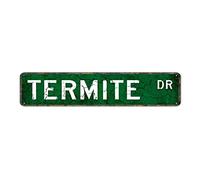 Termite - Targa in metallo con scritta in lingua inglese "The Home", decorazione per la casa, pannello da parete per bar, ristorante, 10,2 x 40,