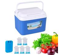 Termobox | Durevole riutilizzabile a prova di perdite - Frigorifero da turismo per la conservazione degli alimenti - per picnic spiaggia pesce lavoro trasporto