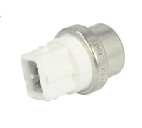 Termocontatto, Ventola radiatore CALORSTAT BY VERNET TS2900 per A3 (8P1) 2 2004-