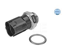 Termocontatto, Ventola radiatore per AUDI SEAT SKODA VW A1 A3 ALTEA ALTEA XL BOR