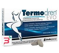 TERMODREN EVO 30 COMPRESSE
