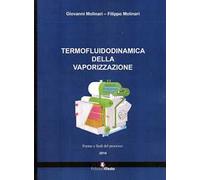 Termofluidodinamica della vaporizzazione. Modalità e componenti del processo