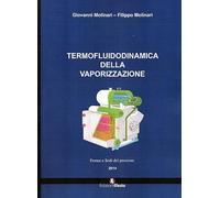 Termofluidodinamica della vaporizzazione. Modalità e componenti del processo