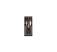 Termoformato rigidoo Beta T137 C1-147 3 pinze Beta 1084BM-1150BM-1166MB