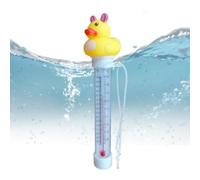 Termografia dei cartoni animati della piscina, Termografia della piscina