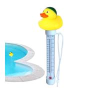 Termografia dei cartoni animati della piscina, Termografia della piscina