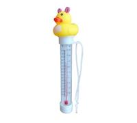Termografia dei cartoni animati della piscina, Termografia della piscina