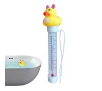 Termografia dei cartoni animati della piscina, Termografia della piscina