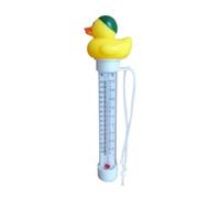 Termografia dei cartoni animati della piscina, Termografia della piscina