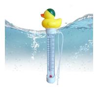 Termografia dei cartoni animati della piscina, Termografia della piscina