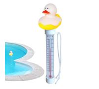 Termografia dei cartoni animati della piscina, Termografia della piscina