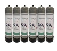 TermoidraulicaRV® 6 Bombole CO2 monouso 600gr. per acquari con attacco M10x1
