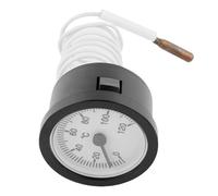 Termometro a quadrante trasparente con tubo capillare 100cm per temperatura acqu