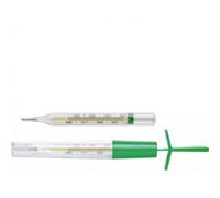 CA-MI SRL T FLAP Term.Clinico