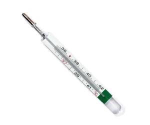 Termometro clinico VEDO ECO PLUS ecologico al gallio con lente