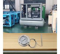 Termometro da Forno Industriale con 1 per linea Prolunga 5M per Letture Accurate
