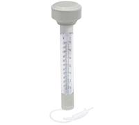 Termometro Galleggiante per Piscine Bestway 58072