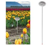 Termometro per il termometro del terreno del terreno in acciaio inossidabile