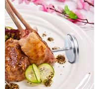 Termometro Per Olio Frittura Termometri Della Carne Alla Griglia