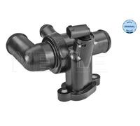 MEYLE Termostato, Refrigerante per SMART 028 228 0001